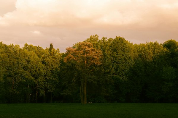 Centredentairepasteur